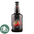 Пиво Воронеж 0,45л ст Гозе Томатный 1/12