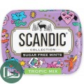 SCANDIC 14гр Тропический Микс 1/18
