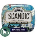 SCANDIC 14гр Барбарис 1/18