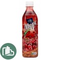 Алоэ Вера 0,5л Морс Брусника 1/12 Пэт