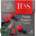 Чай ТЕСС Forest Dream 20пак. 1/12