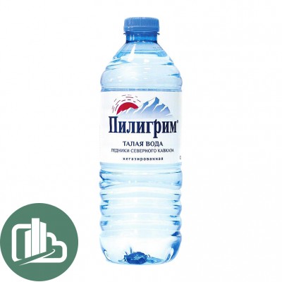 Вода Пилигрим 0,5л б/газ 1/12