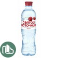 Святой источник 0,5л Вишня 1/12