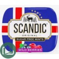 SCANDIC 14гр Wild Berries 1/18