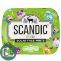 SCANDIC конфеты яблоко смешарики 14 гр 1/18