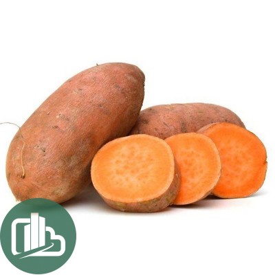 Картофель БАТАТ, Гондурас