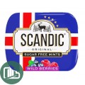 SCANDIC конфеты Лесные ягоды 14г 1/12 (18)