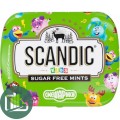 SCANDIC конфеты Яблоко  14г 1/12 (18)