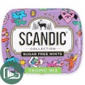 SCANDIC Конфеты Тропический Микс 14г 1/12